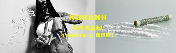 амф Покачи